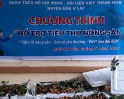 Huyện đoàn Đắk R'Lấp hỗ trợ tiêu thụ nông sản