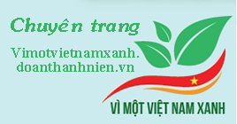 Mô tả